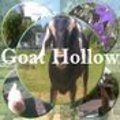 goat hollow 120