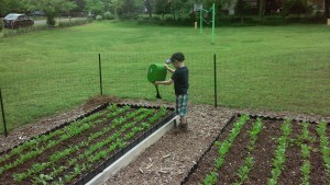 Infant Homestead