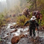 Canada muskwa-kechika-area_9146_600x450