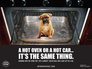 7-2 dog-in-car-like-dog-in-oven