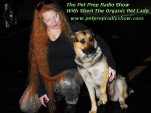 A New Pet Prep Radio Promo400x300