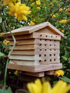 Beekeeping - Solitary Bee Hive