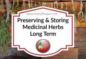 Preserve your medicinal herbs the right way