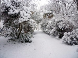 Cold Weather snowy-driveway