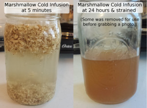 2-26-15 Marshmallow Root Infusion