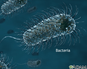 Pandemics Bacteria