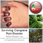 6-26-16 Surviving Gangrene