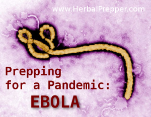 Dr. Bones and Nurse Amy ebola graphic