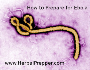 Prepare for Ebola How to prepare for ebola