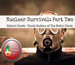 Nuclear Survival: Part Two