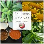Poultices and Salves