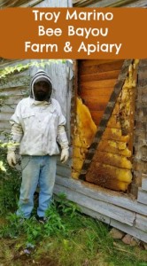 Beekeeping bbsetroy