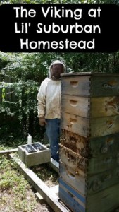 Beekeeping bbseviking