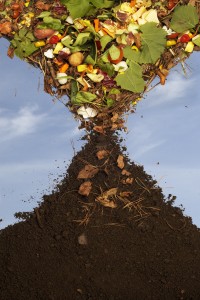 Sustainable Hourglass Compost Image[1]