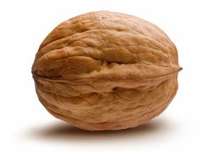 Comfort Foods walnuts-contain-most-healthy-antioxidants_283