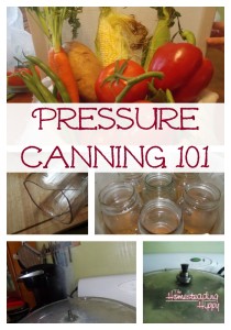 Canning, Increasing Self Sufficiency pressure-canning-101