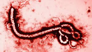 11-18-15 ebola