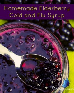 Cold & Flu Homemade-Elderberry-Syrup-by-thesoftlanding.com_