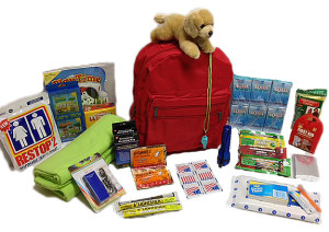 Winter Survival kids -911-survival-kit-children-12-and-younger-3