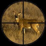 scopes deer-in-a-rifle-scope