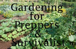 Gardening for Preppers and Survivalist