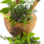 Discovering or Rediscovering Herbs