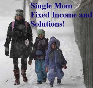 Part 2- Single Mom and Fixed Income Solutions