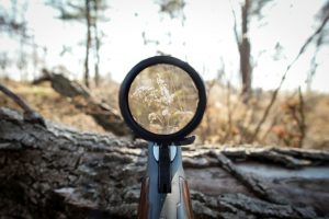 Buying your First Rifle Scope